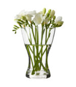 Clear Glass Vase-img