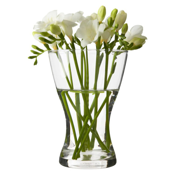 Clear Glass Vase-img