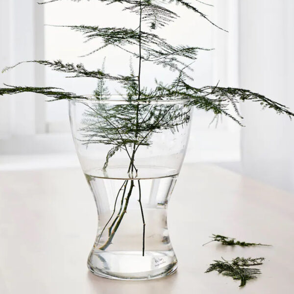 Clear Glass Vase-3-img