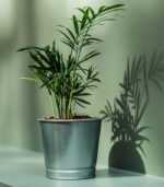 Plant pot 9 cm silver-3-img