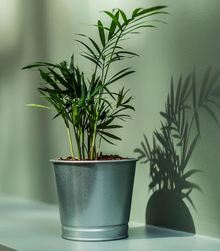 Plant pot 9 cm silver-3-img